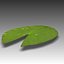 water lily leaf obj