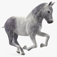 Running Shetland Pony White