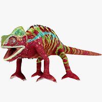 Chameleon Red