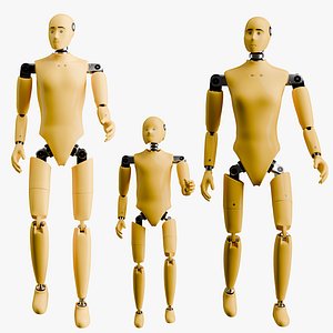3D Rigged Crash Test Male Female and Child Mannequin model