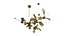 Rosieli Ginkgo Blossom Chandelier