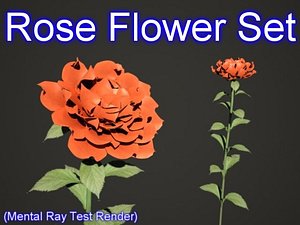 3d set rose flowers model