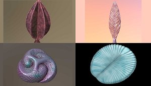 ediacaran 4 in 1 collection