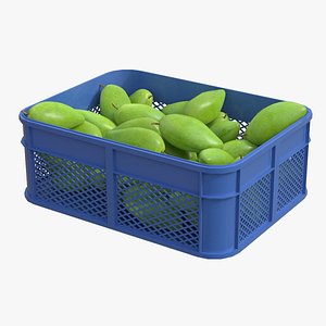 Mango 4 Plastic Crate 3D model