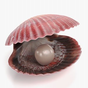 Clam with Pearl 2