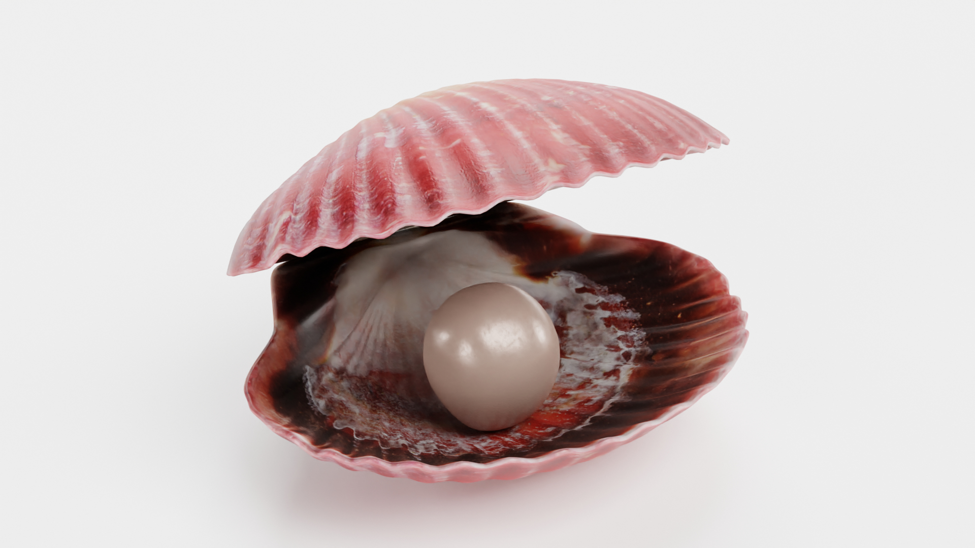 pink pearl clam