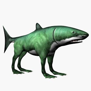 max shark dog