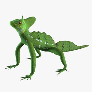 3D basilisk lizard model