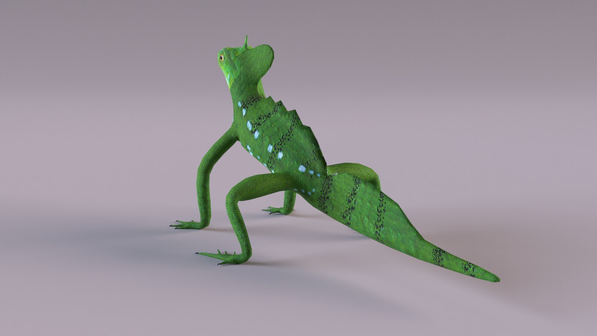 3D basilisk lizard model - TurboSquid 1244687