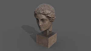 Head of Aphrodite model