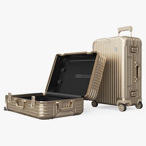 Travel Suitcase Rimowa Original Check-In Titanium(1)