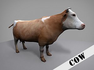 Cow