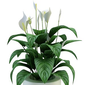 3d model plant pot