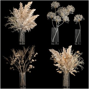 Set Of Bouquets Of Dried Flowers And Pampas Grass 280 3D
