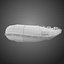 Inflatable Dinghy