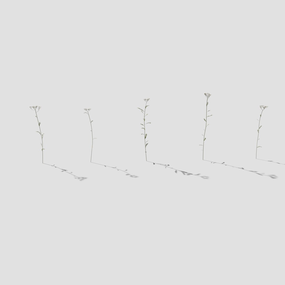 3D pbr milfoil pack https://p.turbosquid.com/ts-thumb/Ql/DgkXu2/cDYlhK7J/milfoil_preview/png/1607026190/1920x1080/fit_q87/7ea0faee5b5b1fe8197bdd8c1bd7180f522527b7/milfoil_preview.jpg