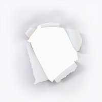 Torn V2