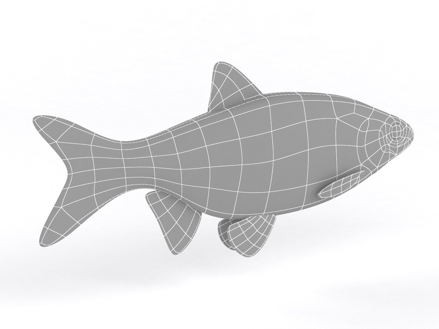 3D Ide Fish Model - TurboSquid 1632649
