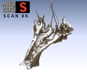 willow snow 3d max