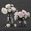 Bouquet of white and pink peony