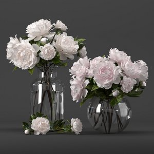 Bouquet of white and pink peony