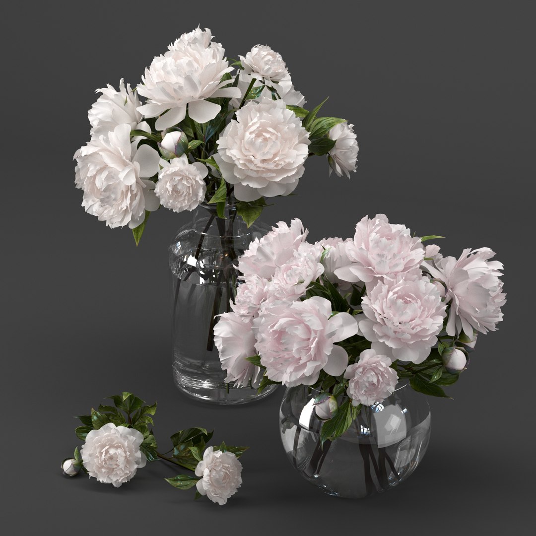 bouquet white pink peony model https://p.turbosquid.com/ts-thumb/Ql/pvue1A/yXIwNhxQ/preview2/jpg/1591722329/1920x1080/fit_q87/108bb0bf9b292f204d2938db7545c8ce80ed3cb2/preview2.jpg