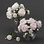 Bouquet of white and pink peony