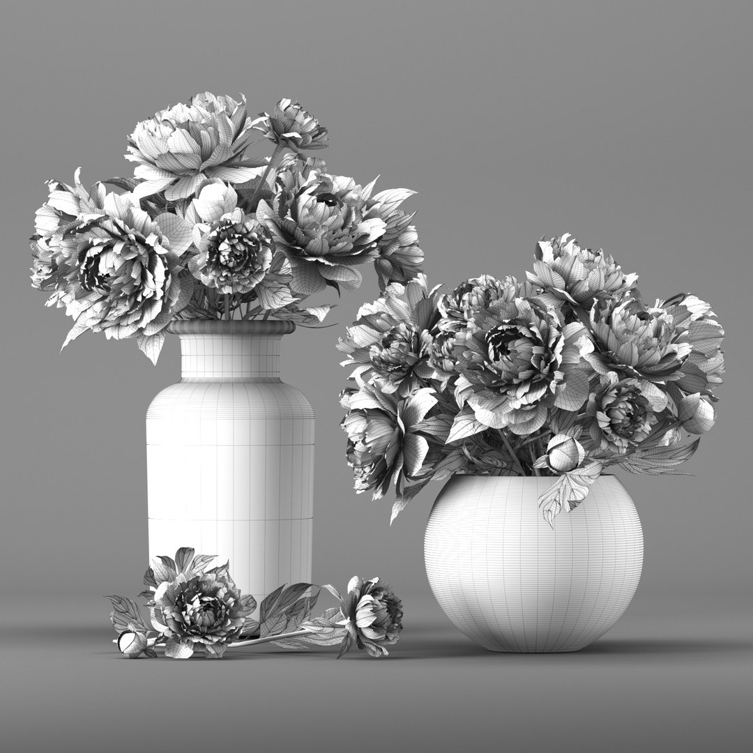 bouquet white pink peony model https://p.turbosquid.com/ts-thumb/Ql/pvue1A/yrW5NbPv/grid/jpg/1591722329/1920x1080/fit_q87/9fccd347e6cc074f1036a0b2356327f4cd4b2bb8/grid.jpg