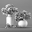 Bouquet of white and pink peony