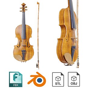 violin model