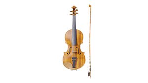 violin model