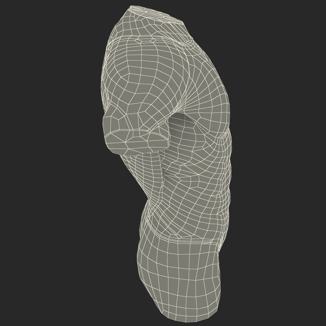 torso muscles 3ds https://p.turbosquid.com/ts-thumb/Qm/3Zb7Aj/yG2qBUnV/torsomuscles_21/jpg/1377579802/1920x1080/fit_q87/6550ddeecf44a7ce640f57222c58a86d87255c35/torsomuscles_21.jpg