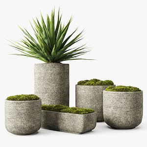 concrete vessel moss yucca 3D model