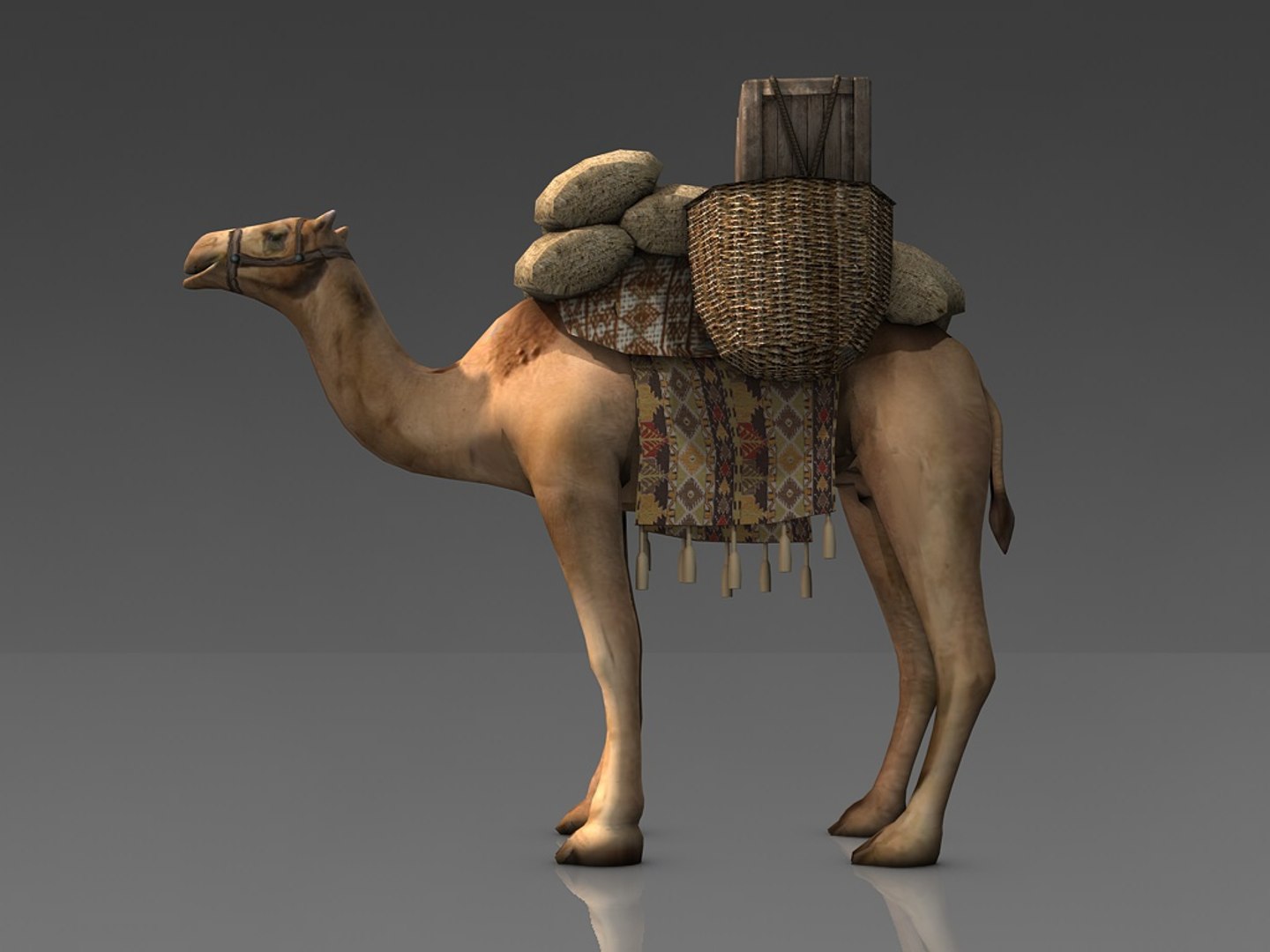 3d model loaded camel https://p.turbosquid.com/ts-thumb/Qm/JpLSML/4IIEBhjl/005dromedarylead/jpg/1481540431/1920x1080/fit_q87/f76fc21a7bf752d17c654f8930e0c9e556777749/005dromedarylead.jpg