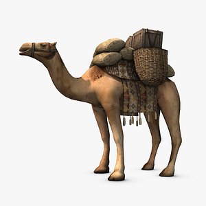 3d model loaded camel