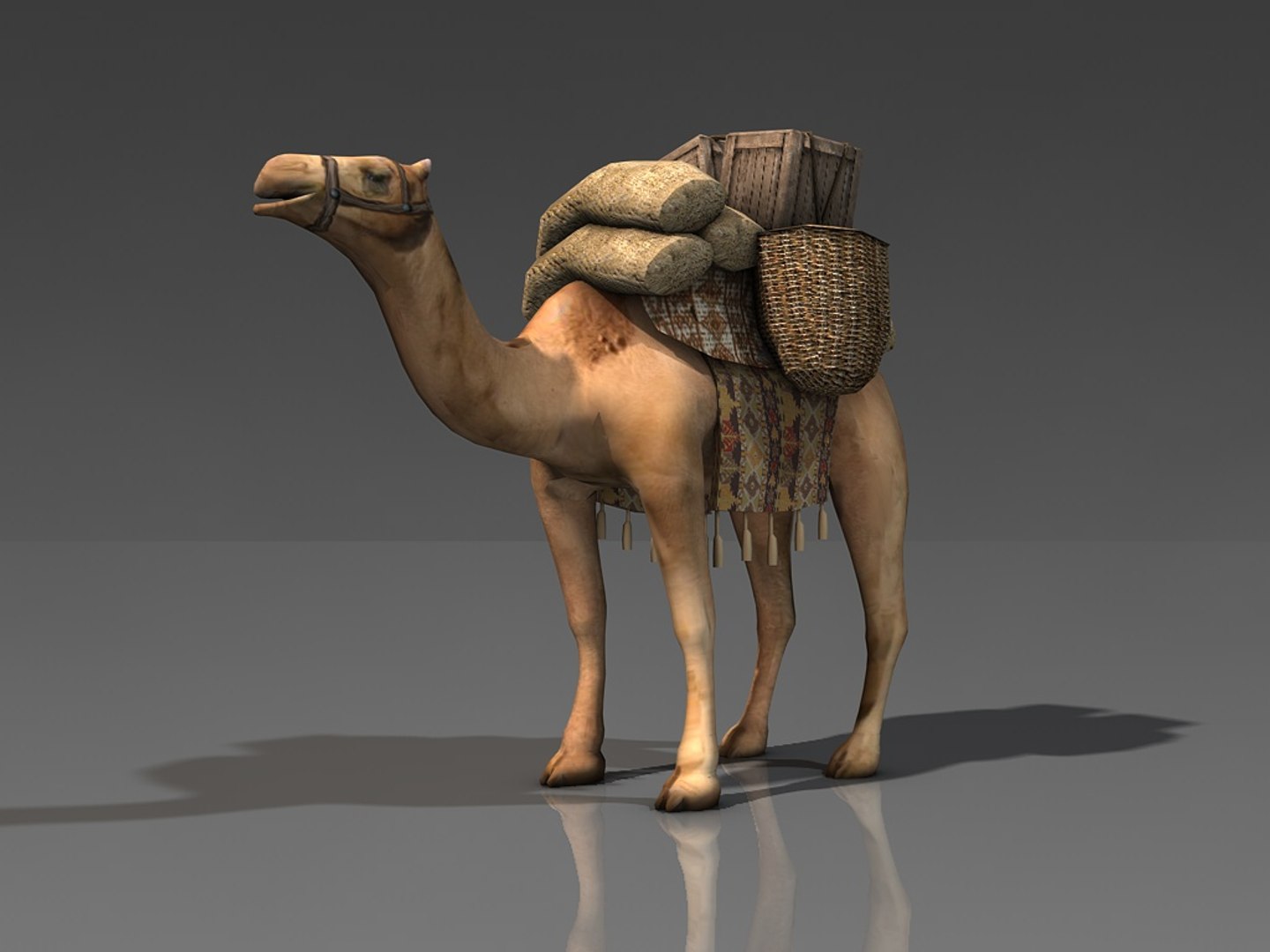 3d model loaded camel https://p.turbosquid.com/ts-thumb/Qm/JpLSML/g9XPK6NC/002dromedarylead/jpg/1481540431/1920x1080/fit_q87/bba13a29eca1bcd217859a7ebf2d23333c9fb106/002dromedarylead.jpg