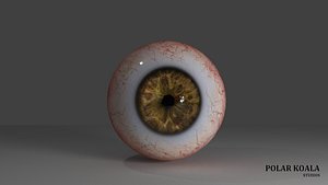 3D occhio umano fotorealistico model