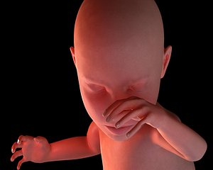 Pregnant Woman Animated
