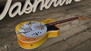 Washburn R60