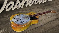Washburn R60