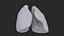 3D Lungs model