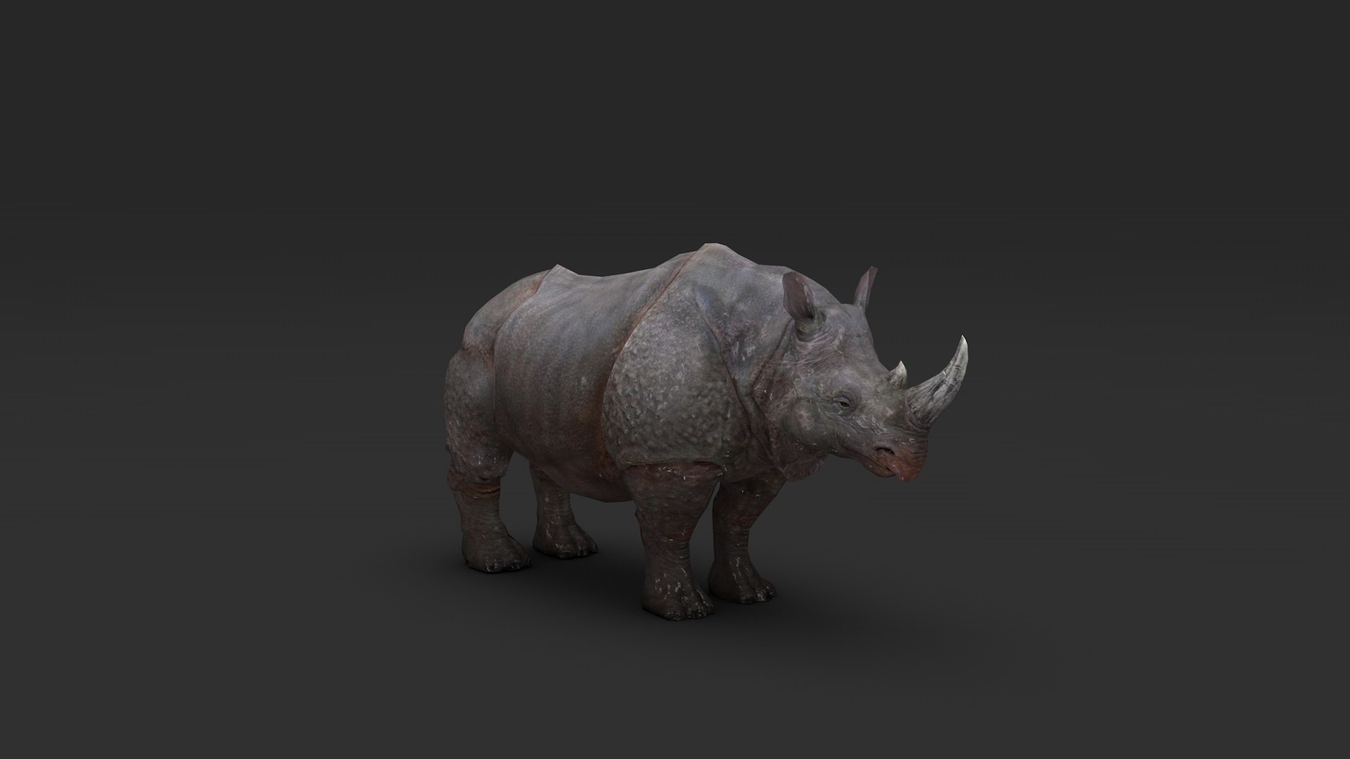3D Model Rhino TurboSquid 1853814