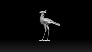 bird secretary