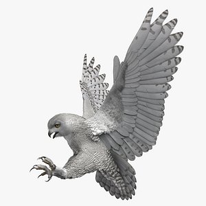 Snowy Owl Rigged