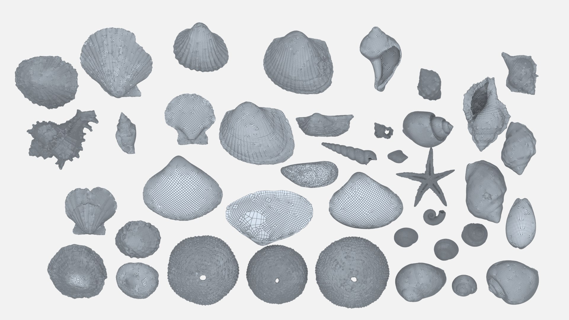 shell 3D model https://p.turbosquid.com/ts-thumb/Qn/Wj7UCe/be/wl2/jpg/1781063262/1920x1080/fit_q87/1edf12f171064f873d98c2fa1c718b6929070e24/wl2.jpg