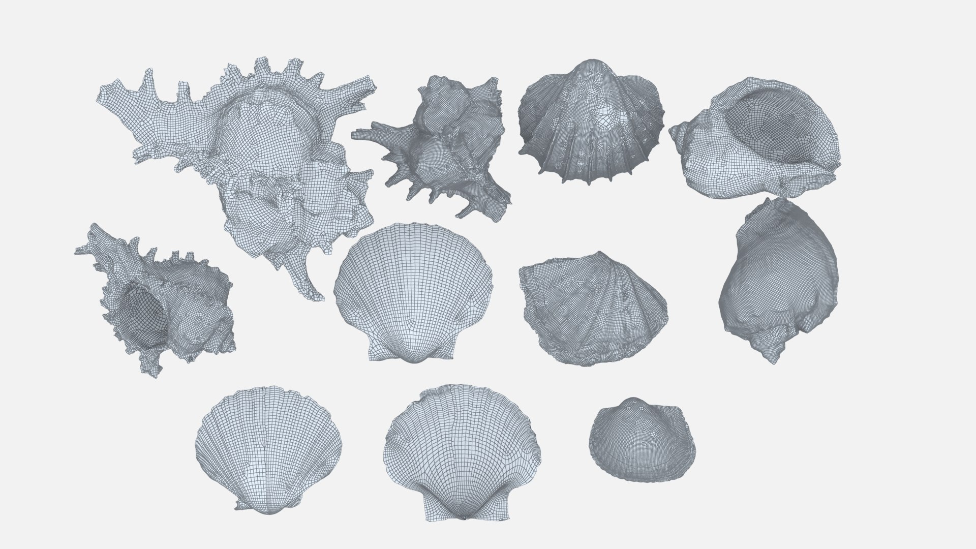 shell 3D model https://p.turbosquid.com/ts-thumb/Qn/Wj7UCe/qu/wl3/jpg/1781063264/1920x1080/fit_q87/8b7fc8cf2fb8f5fe10408d17b71bf47dfbaffe49/wl3.jpg