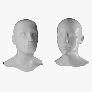 3D Female and Male Mannequin Head