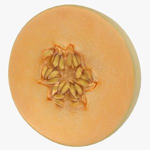 3D Round Slice Orange Honeydew Melon model