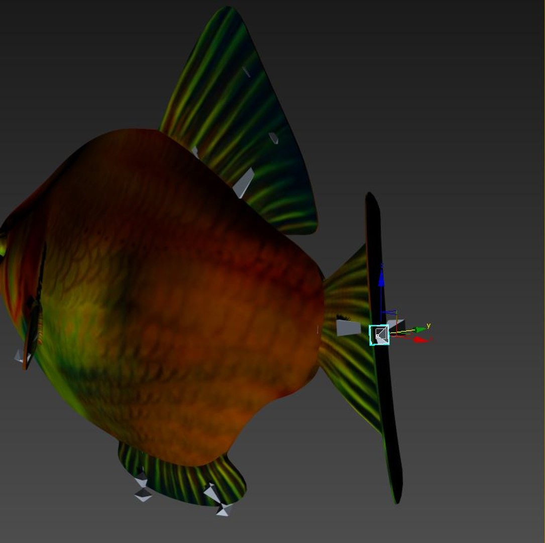 fish nature animal model https://p.turbosquid.com/ts-thumb/Qn/j1xUrX/3UDx23Ew/7/jpg/1591605729/1920x1080/fit_q87/d87133b1ec894a8346a6f0c049b2434646539846/7.jpg