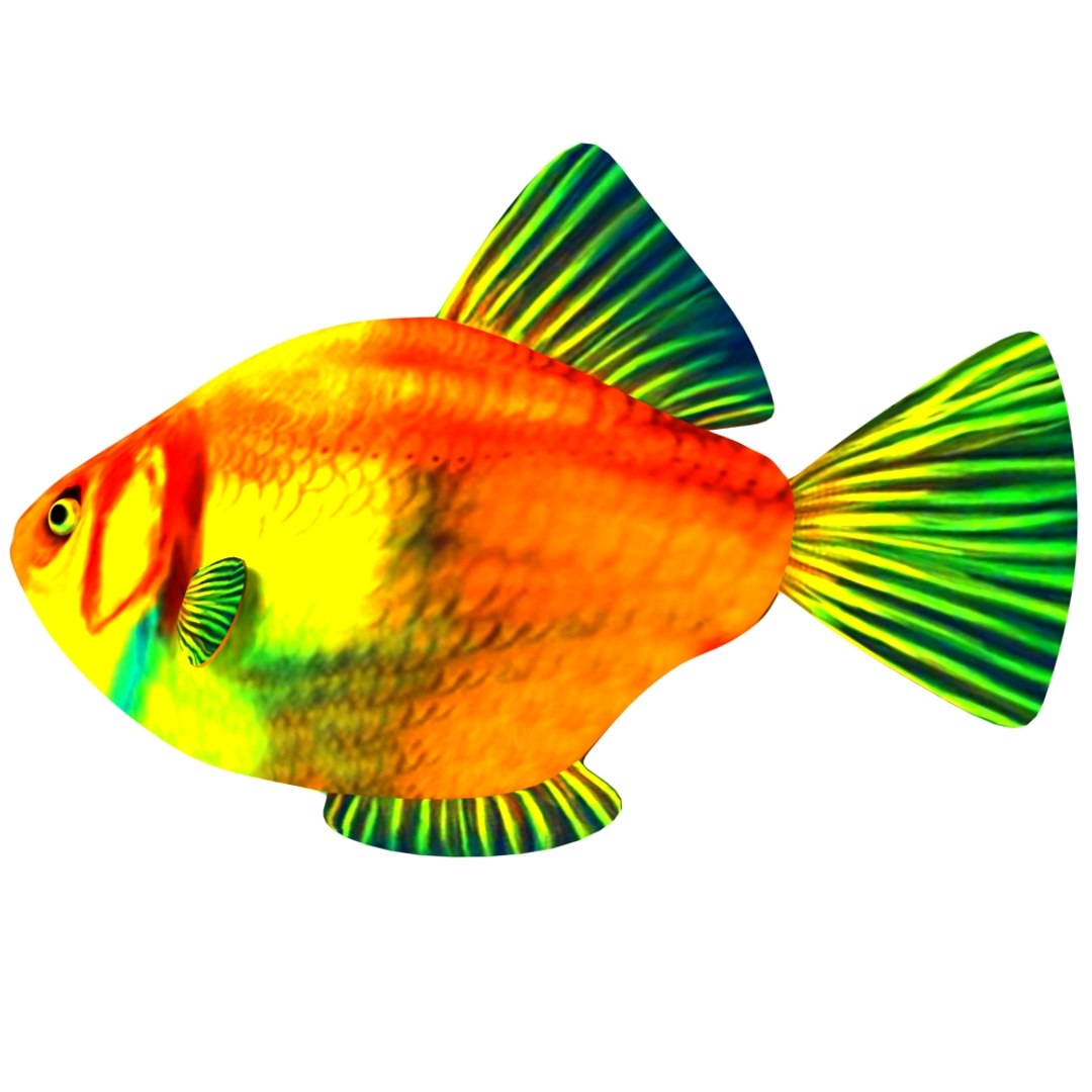 fish nature animal model https://p.turbosquid.com/ts-thumb/Qn/j1xUrX/GEStzpSd/4/jpg/1591605698/1920x1080/fit_q87/94fc12eafd80b36227f087c9b0043f4a7c5981e5/4.jpg